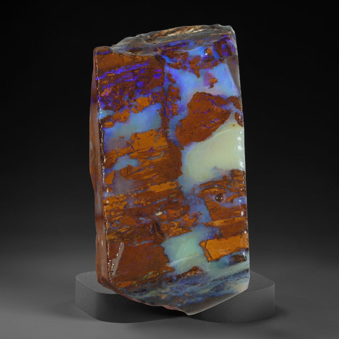 56ct Natural Australian Queensland Boulder Opal Sliced Slab Cutting Rough, 9AY: Natural sliced slab rough of Queensland boulder opal cutting grade, featuring rich color ironstone matrix with patterns. The face clearly reveals extensive opal veining and pocket formations running t