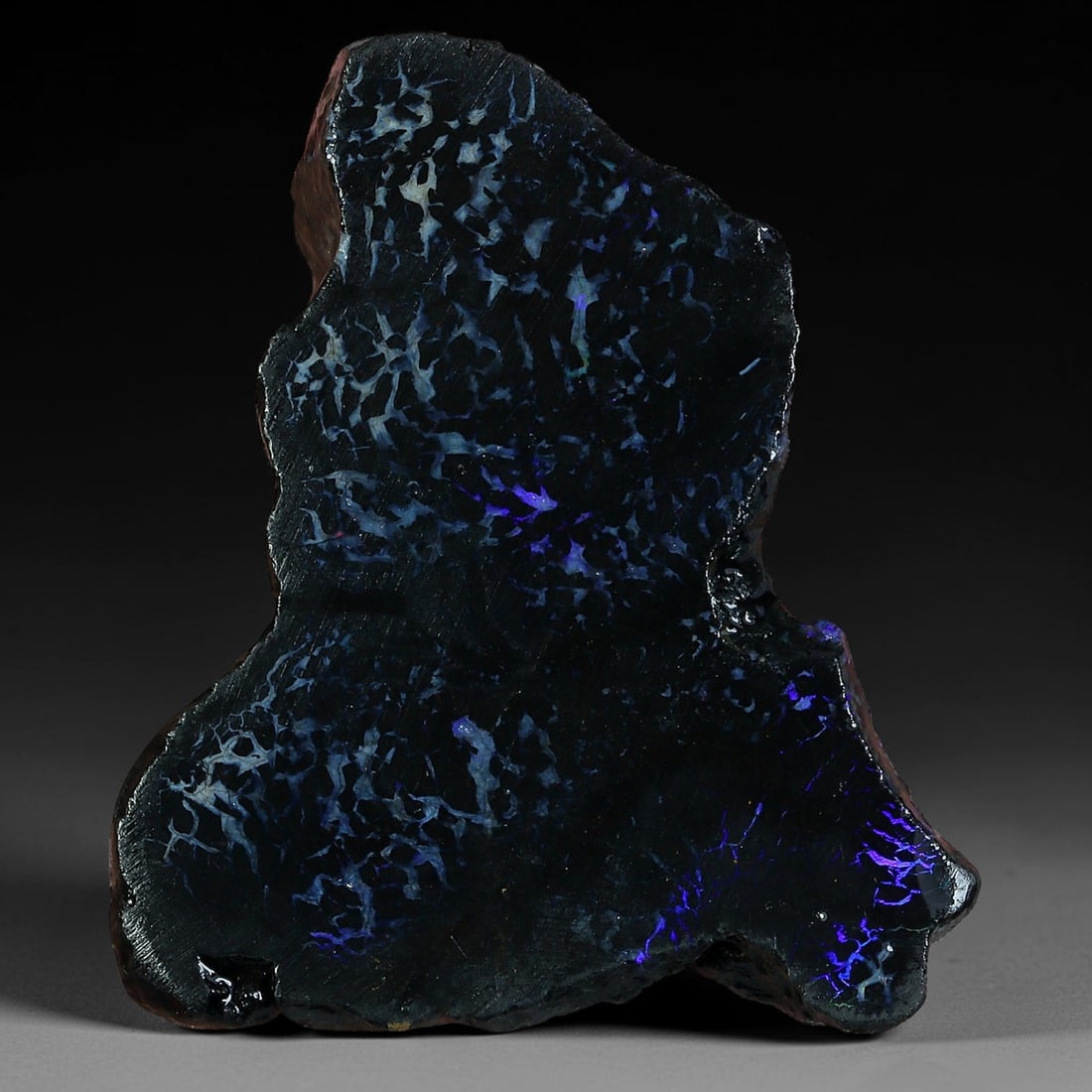 14.67ct Natural Australian Queensland Boulder Opal Sliced Slab Cutting Rough, 40YP: Natural sliced slab rough of Queensland boulder opal cutting grade, featuring rich color ironstone matrix with patterns. The face clearly reveals extensive opal veining and pocket formations running t