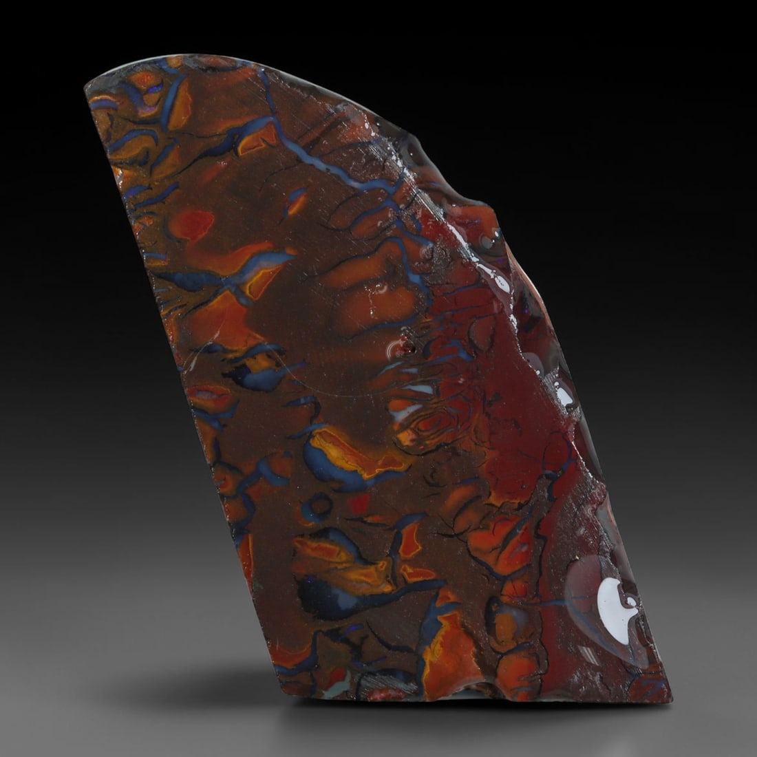 24.16ct Natural Australian Queensland Boulder Opal Sliced Slab Cutting Rough, 27AY: Natural sliced slab rough of Queensland boulder opal cutting grade, featuring rich color ironstone matrix with patterns. The face clearly reveals extensive opal veining and pocket formations running t