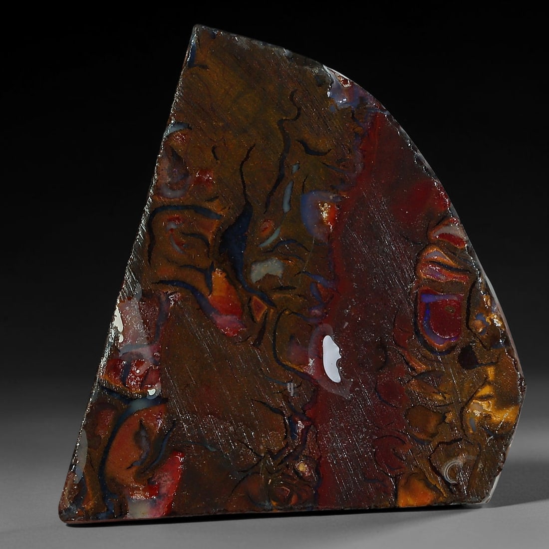 20.18ct Natural Australian Queensland Boulder Opal Sliced Slab Cutting Rough, 51YP: Natural sliced slab rough of Queensland boulder opal cutting grade, featuring rich color ironstone matrix with patterns. The face clearly reveals extensive opal veining and pocket formations running t