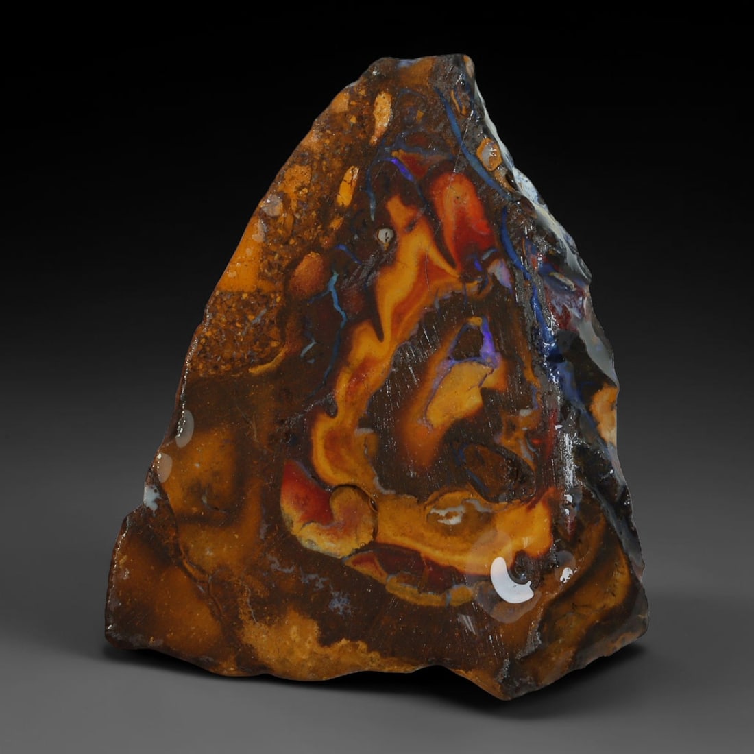 27.10ct Natural Australian Queensland Boulder Opal Sliced Slab Cutting Rough, 59AY: Natural sliced slab rough of Queensland boulder opal cutting grade, featuring rich color ironstone matrix with patterns. The face clearly reveals extensive opal veining and pocket formations running t