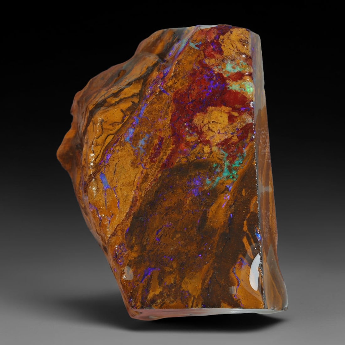 76.37ct Natural Australian Queensland Boulder Opal Sliced Slab Cutting Rough, 49AY: Natural sliced slab rough of Queensland boulder opal cutting grade, featuring rich color ironstone matrix with patterns. The face clearly reveals extensive opal veining and pocket formations running t