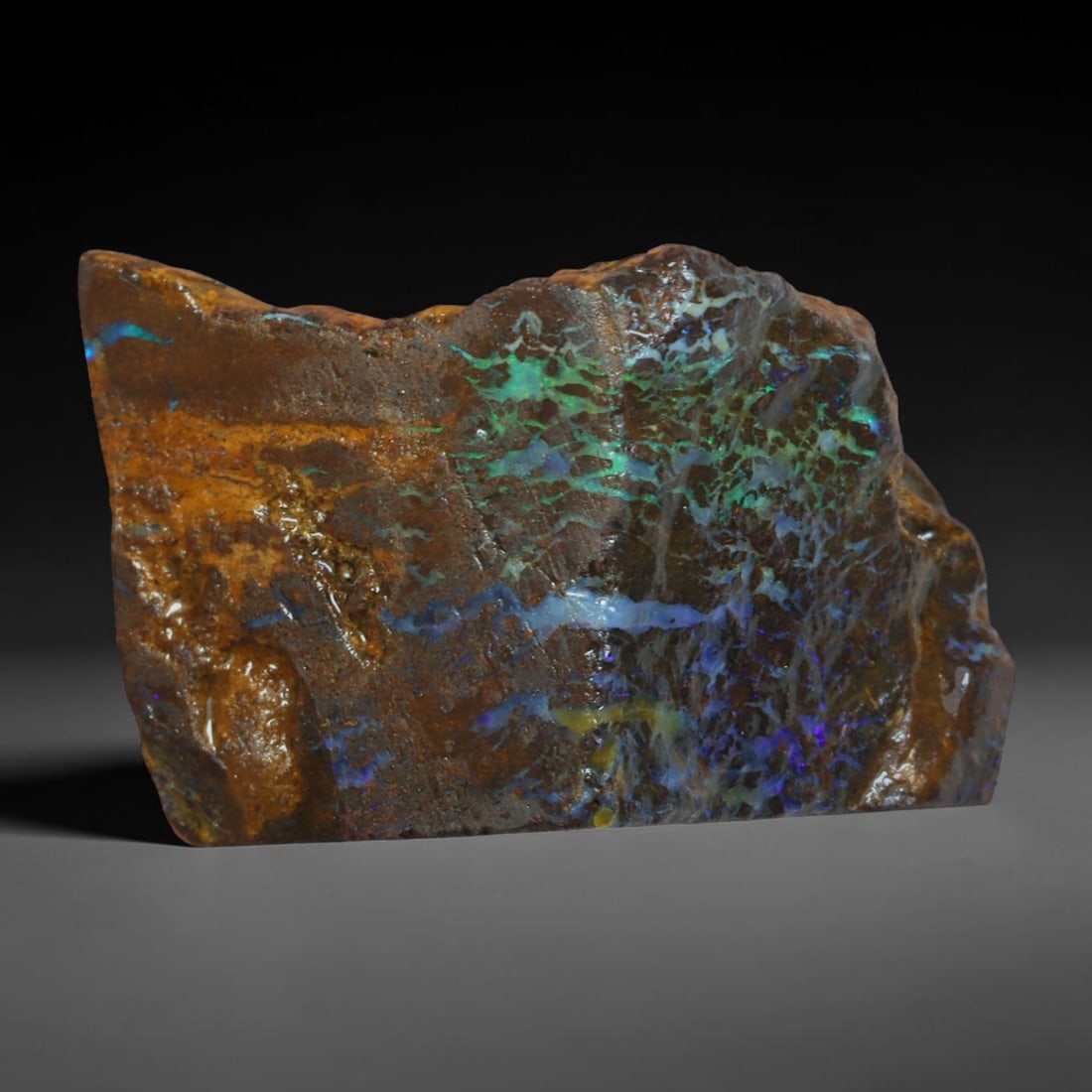 43ct Natural Australian Queensland Boulder Opal Sliced Slab Cutting Rough, 74AY: Natural sliced slab rough of Queensland boulder opal cutting grade, featuring rich color ironstone matrix with patterns. The face clearly reveals extensive opal veining and pocket formations running t
