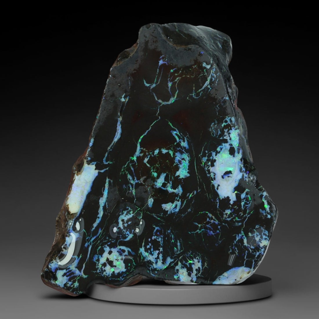23.08ct Natural Australian Queensland Boulder Opal Sliced Slab Cutting Rough, 63AY: Natural sliced slab rough of Queensland boulder opal cutting grade, featuring rich color ironstone matrix with patterns. The face clearly reveals extensive opal veining and pocket formations running t