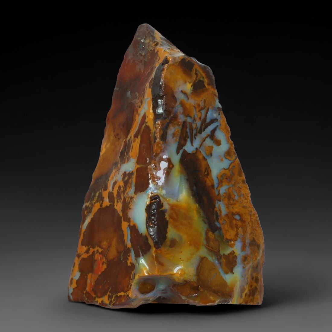 40.51ct Natural Australian Queensland Boulder Opal Sliced Slab Cutting Rough, 16AY: Natural sliced slab rough of Queensland boulder opal cutting grade, featuring rich color ironstone matrix with patterns. The face clearly reveals extensive opal veining and pocket formations running t