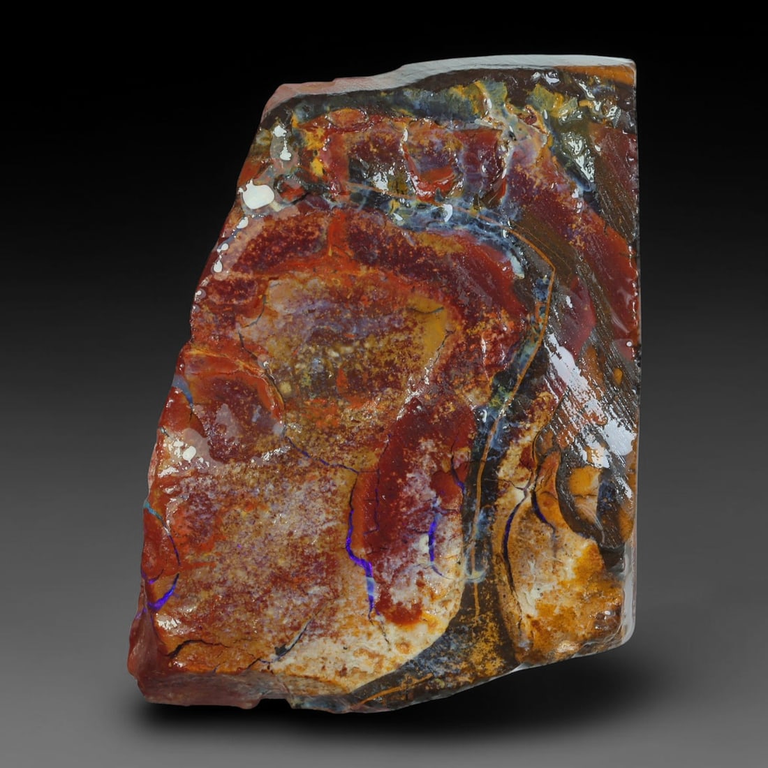 46.42ct Natural Australian Queensland Boulder Opal Sliced Slab Cutting Rough, 60YP: Natural sliced slab rough of Queensland boulder opal cutting grade, featuring rich color ironstone matrix with patterns. The face clearly reveals extensive opal veining and pocket formations running t