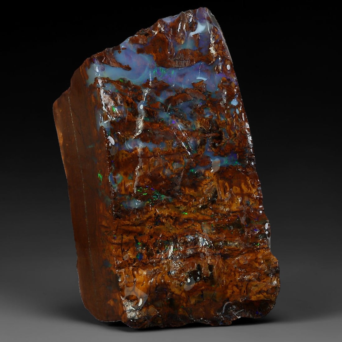 42.17ct Natural Australian Queensland Boulder Opal Sliced Slab Cutting Rough, 77YP: Natural sliced slab rough of Queensland boulder opal cutting grade, featuring rich color ironstone matrix with patterns. The face clearly reveals extensive opal veining and pocket formations running t