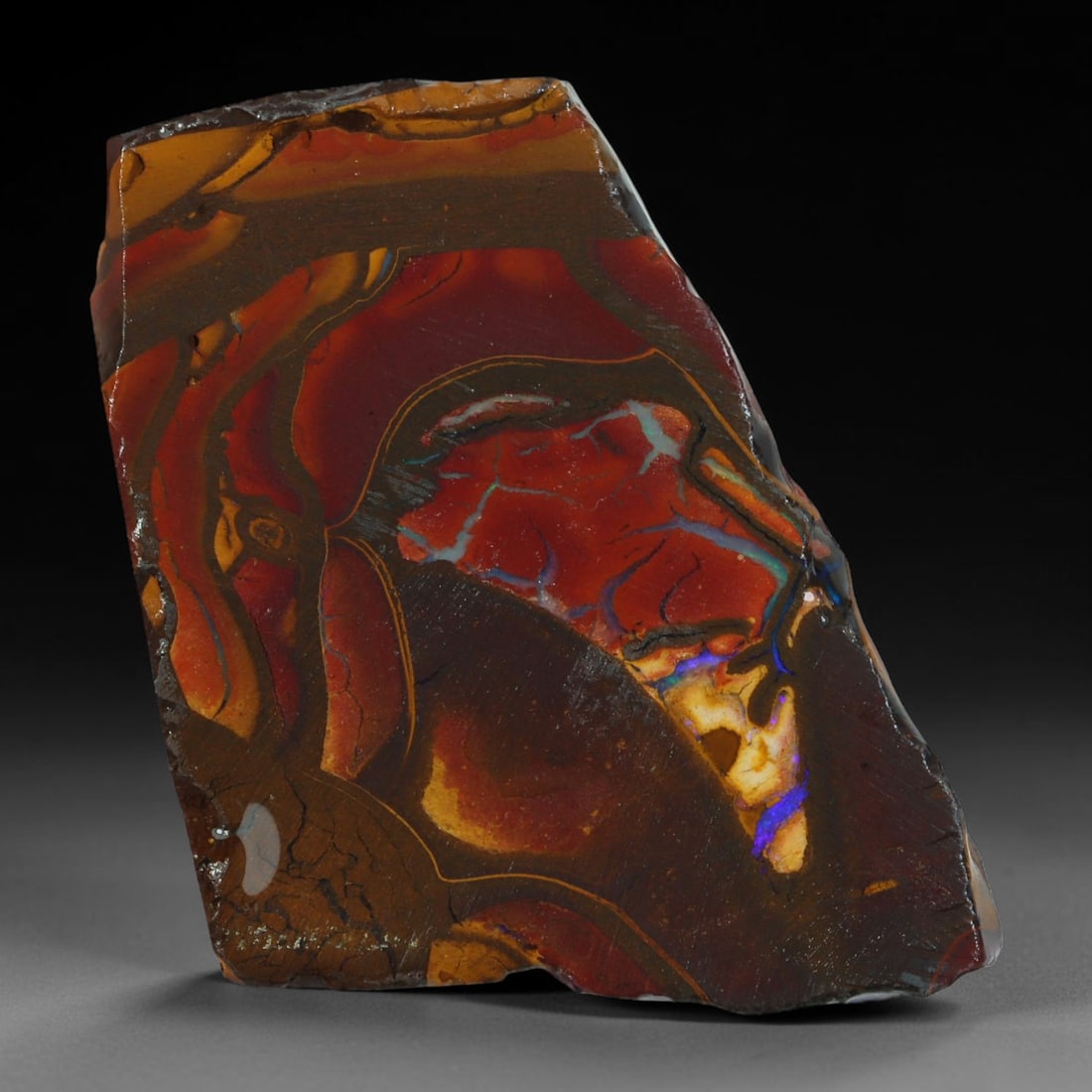 32.92ct Natural Australian Queensland Boulder Opal Sliced Slab Cutting Rough, 72AY: Natural sliced slab rough of Queensland boulder opal cutting grade, featuring rich color ironstone matrix with patterns. The face clearly reveals extensive opal veining and pocket formations running t