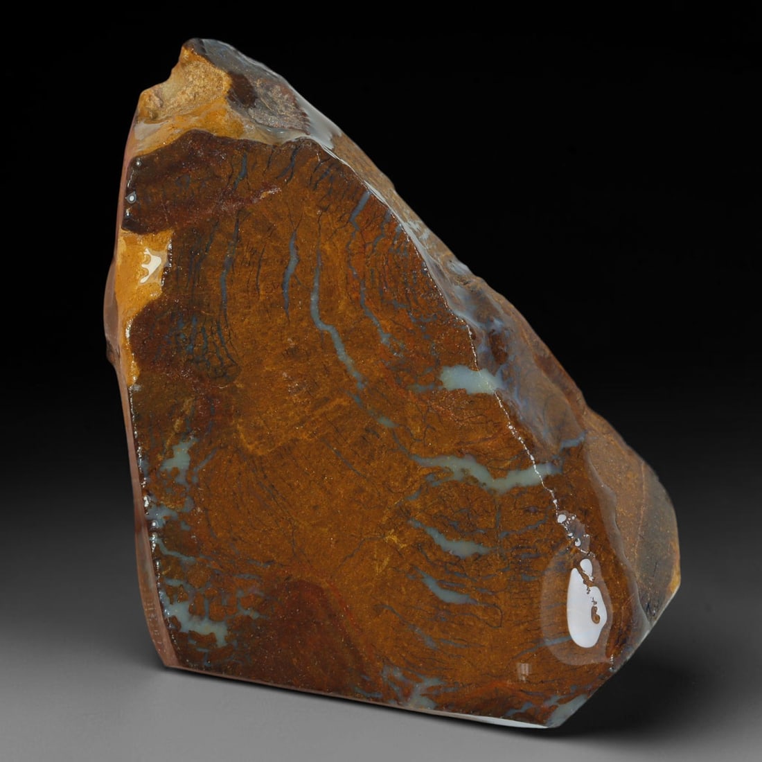 58.97ct Natural Australian Queensland Boulder Opal Sliced Slab Cutting Rough, 30YP: Natural sliced slab rough of Queensland boulder opal cutting grade, featuring rich color ironstone matrix with patterns. The face clearly reveals extensive opal veining and pocket formations running t