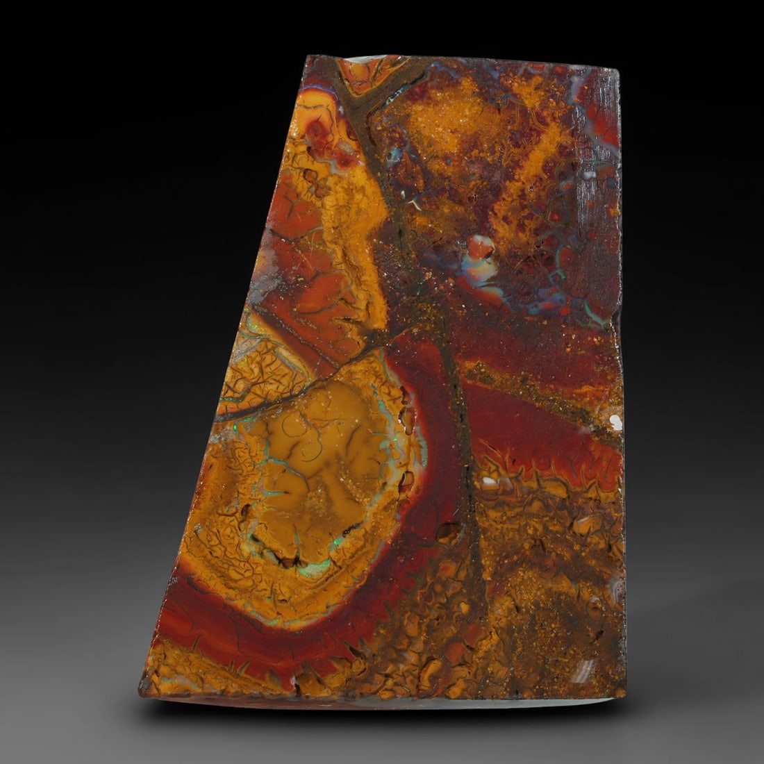 40.72ct Natural Australian Queensland Boulder Opal Sliced Slab Cutting Rough, 75YP: Natural sliced slab rough of Queensland boulder opal cutting grade, featuring rich color ironstone matrix with patterns. The face clearly reveals extensive opal veining and pocket formations running t