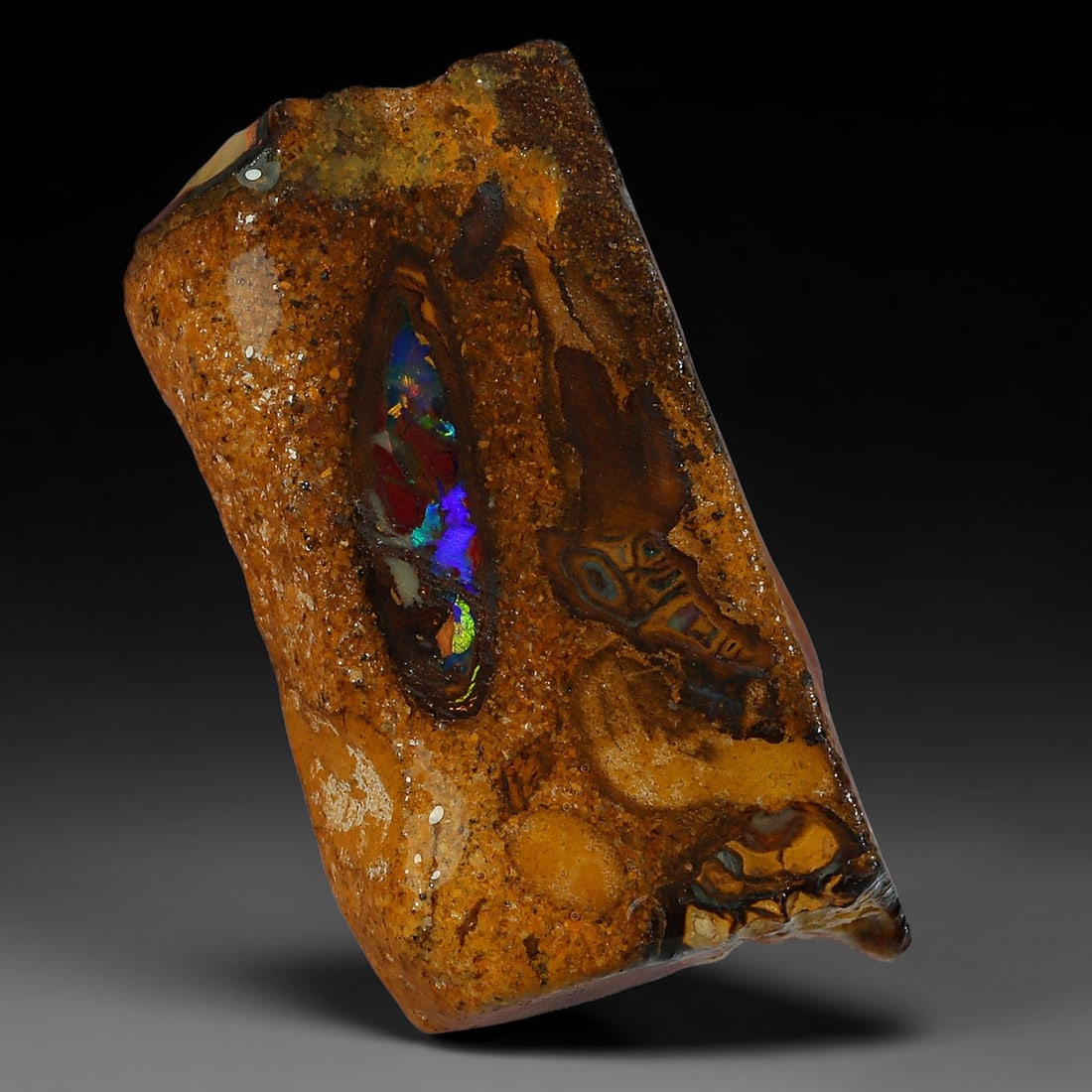 19.84ct Natural Australian Queensland Boulder Opal Sliced Slab Cutting Rough, 36YP: Natural sliced slab rough of Queensland boulder opal cutting grade, featuring rich color ironstone matrix with patterns. The face clearly reveals extensive opal veining and pocket formations running t