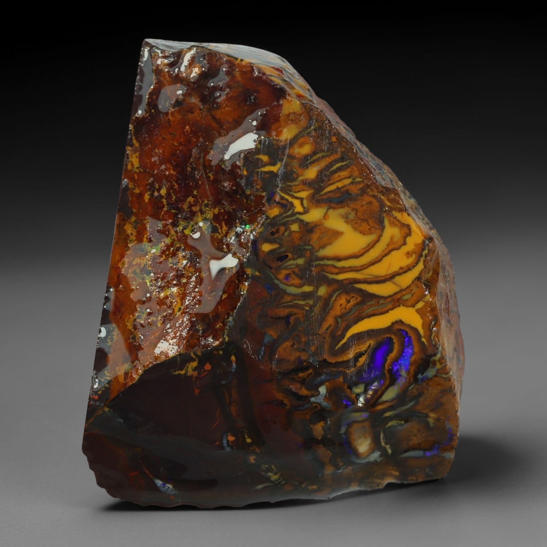 38ct Natural Australian Queensland Boulder Opal Sliced Slab Cutting Rough, 64AY: Natural sliced slab rough of Queensland boulder opal cutting grade, featuring rich color ironstone matrix with patterns. The face clearly reveals extensive opal veining and pocket formations running t