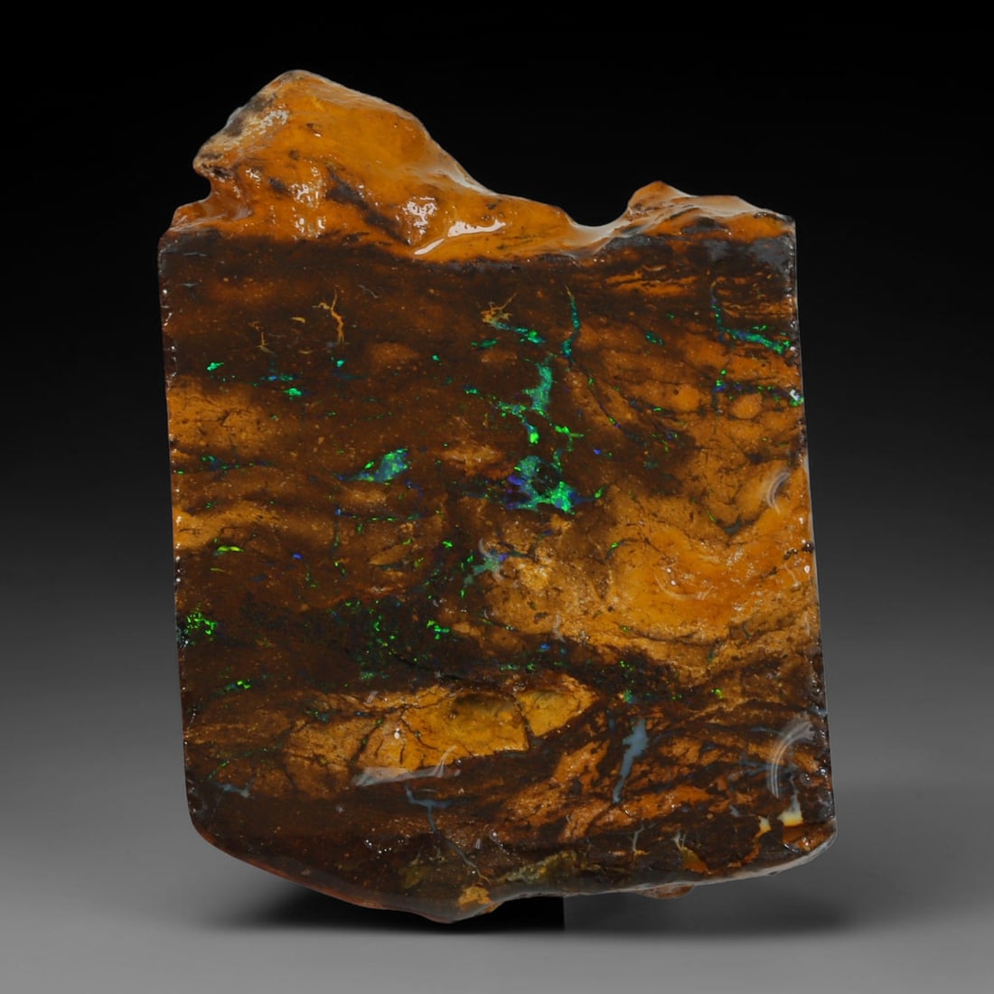 37.62ct Natural Australian Queensland Boulder Opal Sliced Slab Cutting Rough, 70AY: Natural sliced slab rough of Queensland boulder opal cutting grade, featuring rich color ironstone matrix with patterns. The face clearly reveals extensive opal veining and pocket formations running t