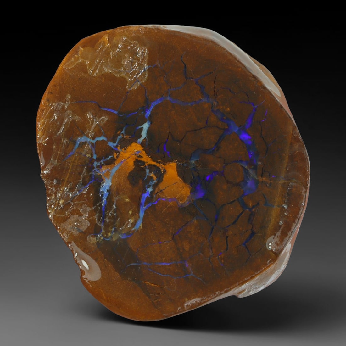 59.50ct Natural Australian Queensland Boulder Opal Sliced Slab Cutting Rough, 29AY: Natural sliced slab rough of Queensland boulder opal cutting grade, featuring rich color ironstone matrix with patterns. The face clearly reveals extensive opal veining and pocket formations running t