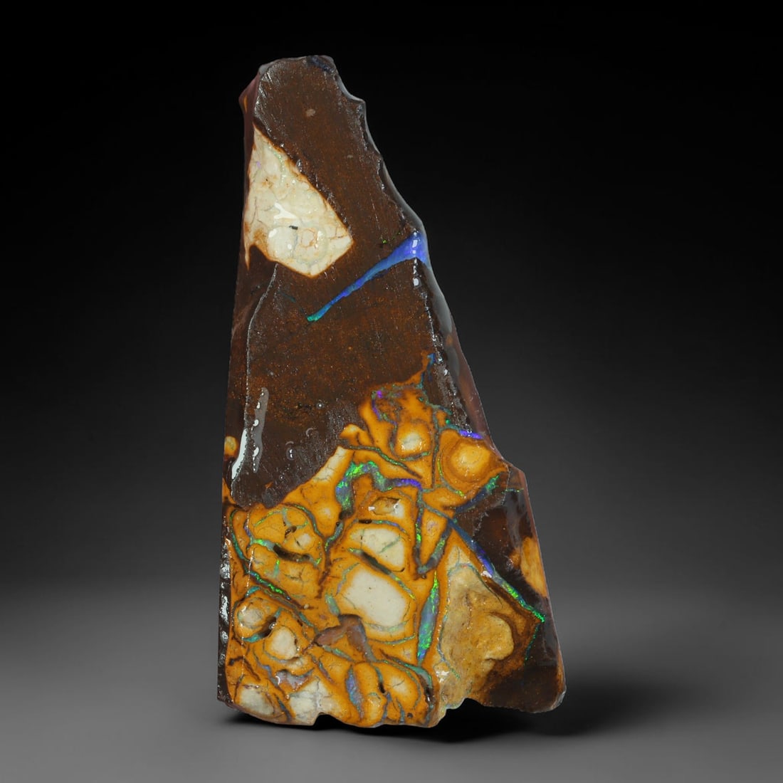 36.47ct Natural Australian Queensland Boulder Opal Sliced Slab Cutting Rough, 38AY: Natural sliced slab rough of Queensland boulder opal cutting grade, featuring rich color ironstone matrix with patterns. The face clearly reveals extensive opal veining and pocket formations running t