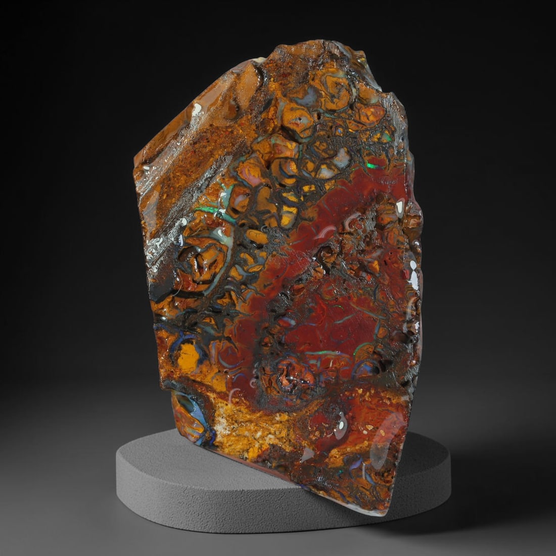 65.20ct Natural Australian Queensland Boulder Opal Sliced Slab Cutting Rough, 31AY: Natural sliced slab rough of Queensland boulder opal cutting grade, featuring rich color ironstone matrix with patterns. The face clearly reveals extensive opal veining and pocket formations running t