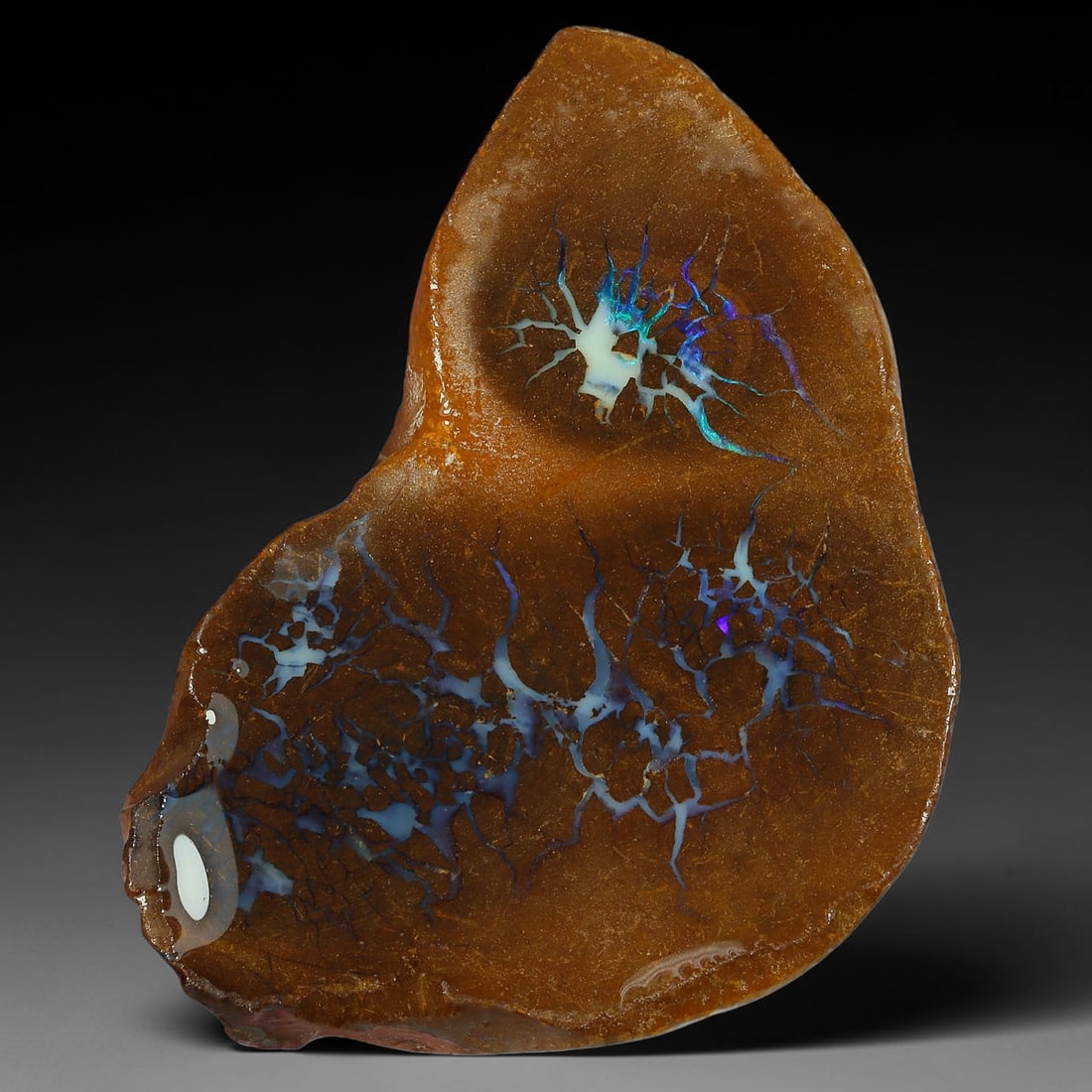 42.95ct Natural Australian Queensland Boulder Opal Sliced Slab Cutting Rough, 42YP: Natural sliced slab rough of Queensland boulder opal cutting grade, featuring rich color ironstone matrix with patterns. The face clearly reveals extensive opal veining and pocket formations running t