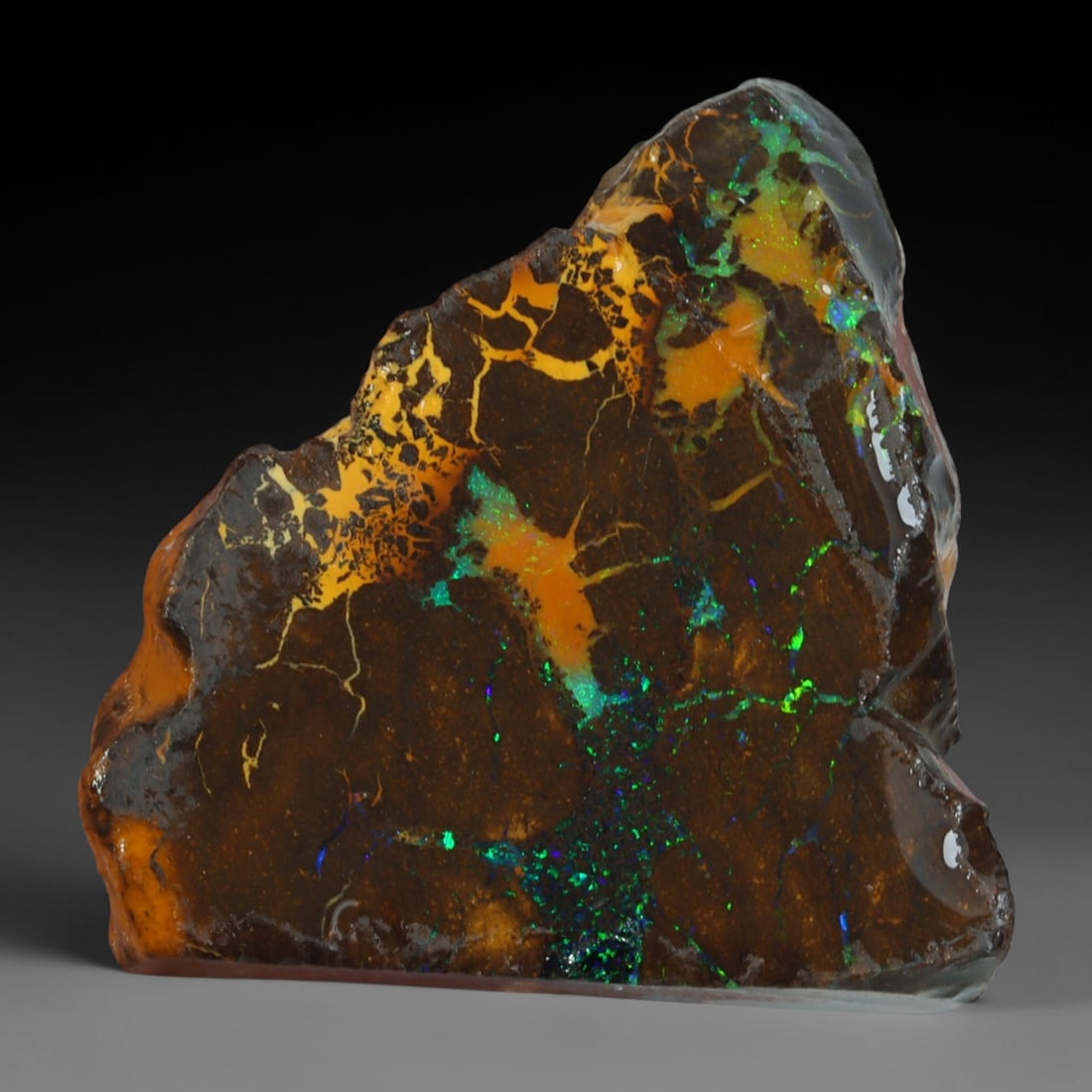 36.06ct Natural Australian Queensland Boulder Opal Sliced Slab Cutting Rough, 62AY: Natural sliced slab rough of Queensland boulder opal cutting grade, featuring rich color ironstone matrix with patterns. The face clearly reveals extensive opal veining and pocket formations running t