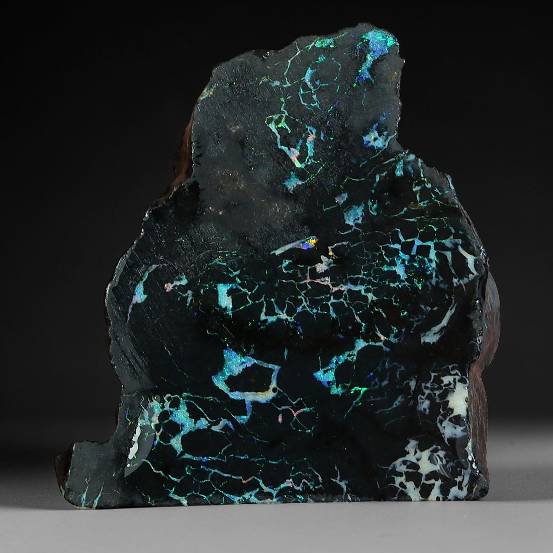 23.65ct Natural Australian Queensland Boulder Opal Sliced Slab Cutting Rough, 45YP: Natural sliced slab rough of Queensland boulder opal cutting grade, featuring rich color ironstone matrix with patterns. The face clearly reveals extensive opal veining and pocket formations running t