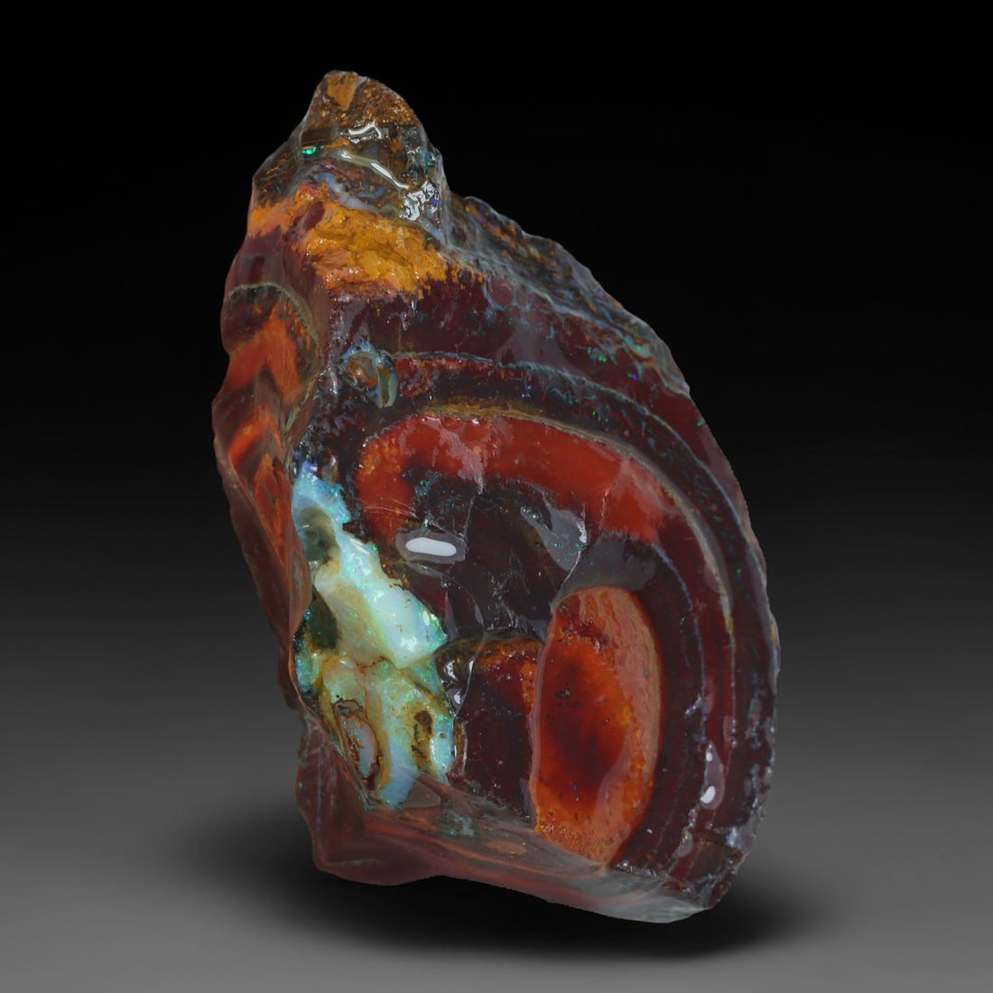 88.68ct Natural Australian Queensland Boulder Opal Sliced Slab Cutting Rough, 68YP: Natural sliced slab rough of Queensland boulder opal cutting grade, featuring rich color ironstone matrix with patterns. The face clearly reveals extensive opal veining and pocket formations running t