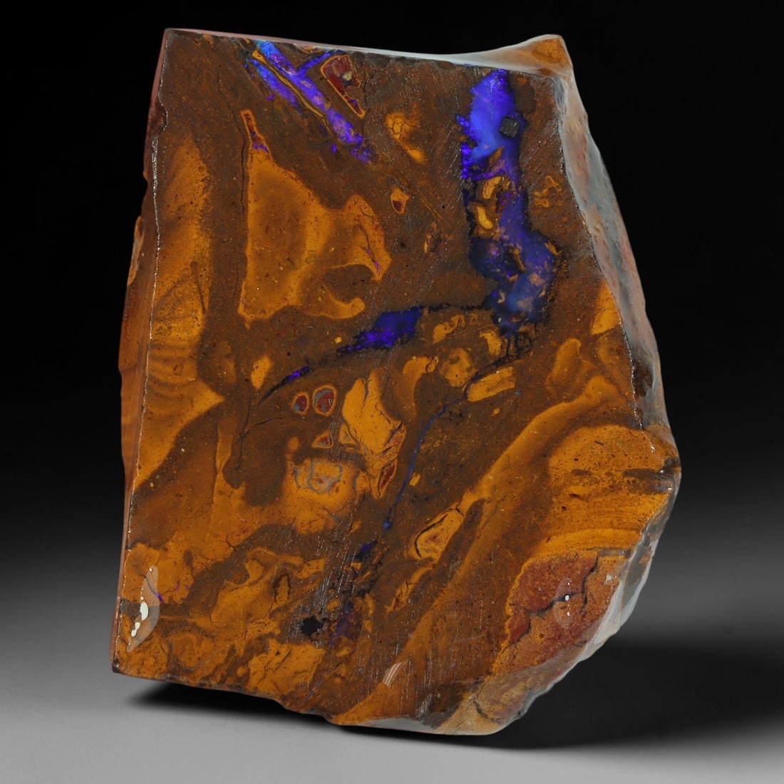 75.57ct Natural Australian Queensland Boulder Opal Sliced Slab Cutting Rough, 11AY: Natural sliced slab rough of Queensland boulder opal cutting grade, featuring rich color ironstone matrix with patterns. The face clearly reveals extensive opal veining and pocket formations running t