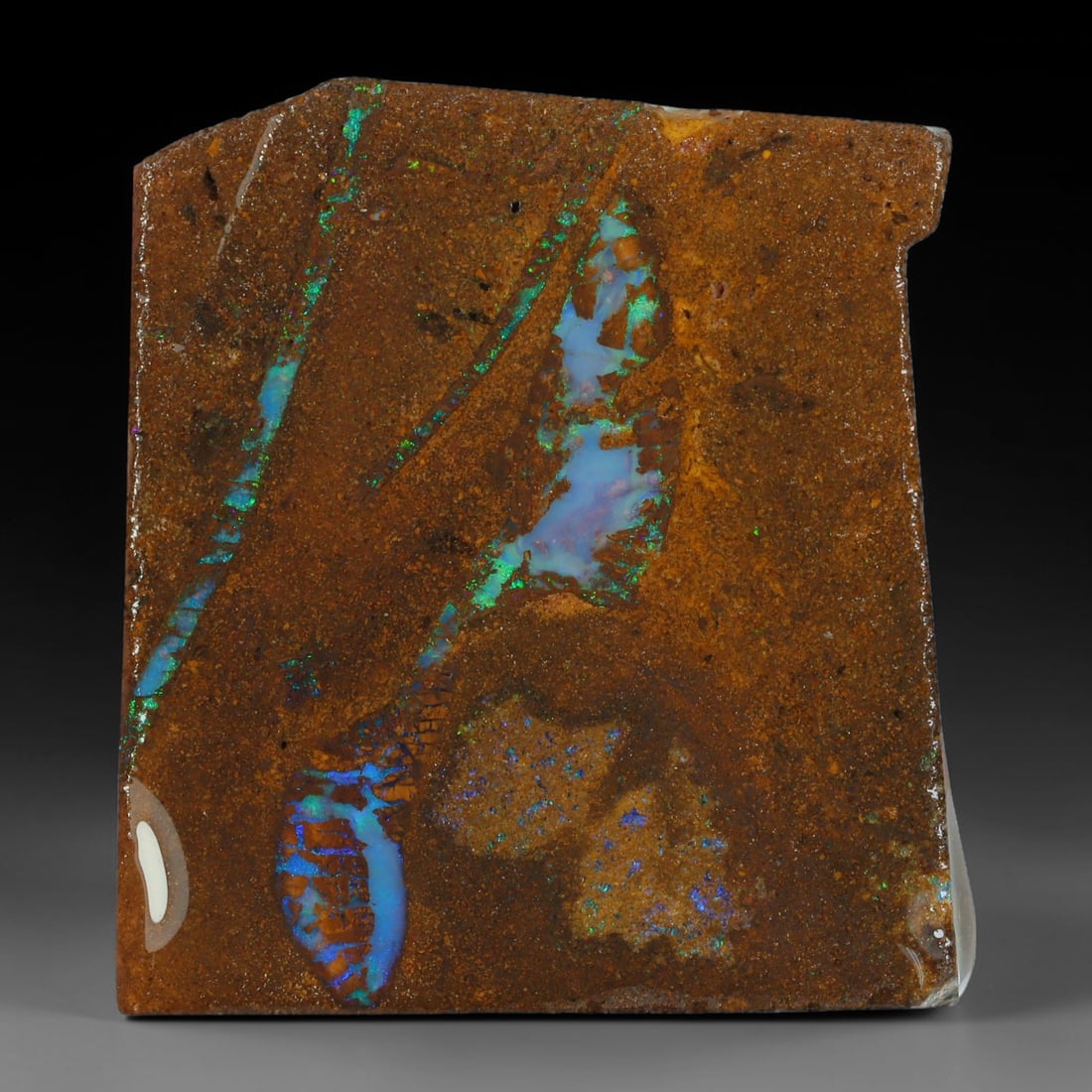 43.88ct Natural Australian Queensland Boulder Opal Sliced Slab Cutting Rough, 13AY: Natural sliced slab rough of Queensland boulder opal cutting grade, featuring rich color ironstone matrix with patterns. The face clearly reveals extensive opal veining and pocket formations running t