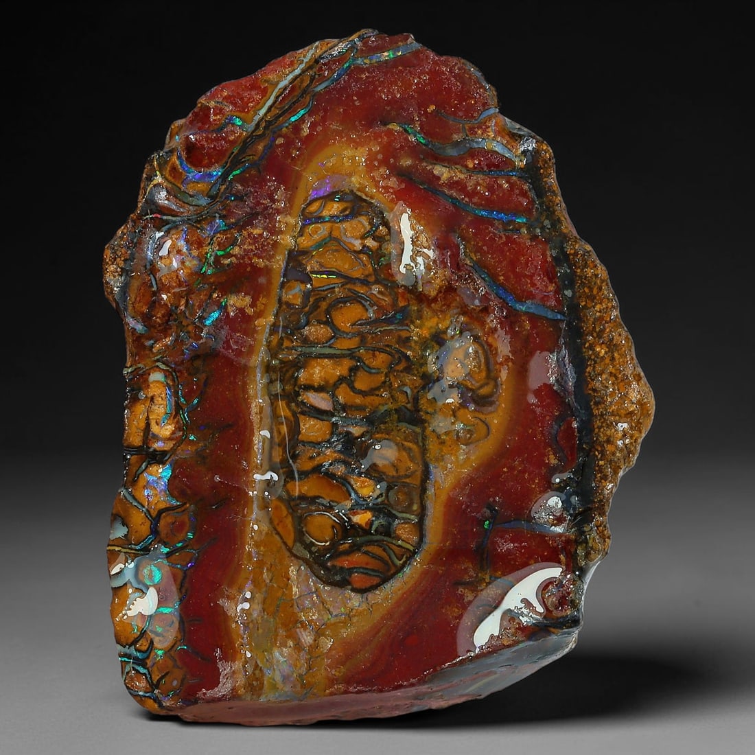 41.75ct Natural Australian Queensland Boulder Opal Sliced Slab Cutting Rough, 34YP: Natural sliced slab rough of Queensland boulder opal cutting grade, featuring rich color ironstone matrix with patterns. The face clearly reveals extensive opal veining and pocket formations running t
