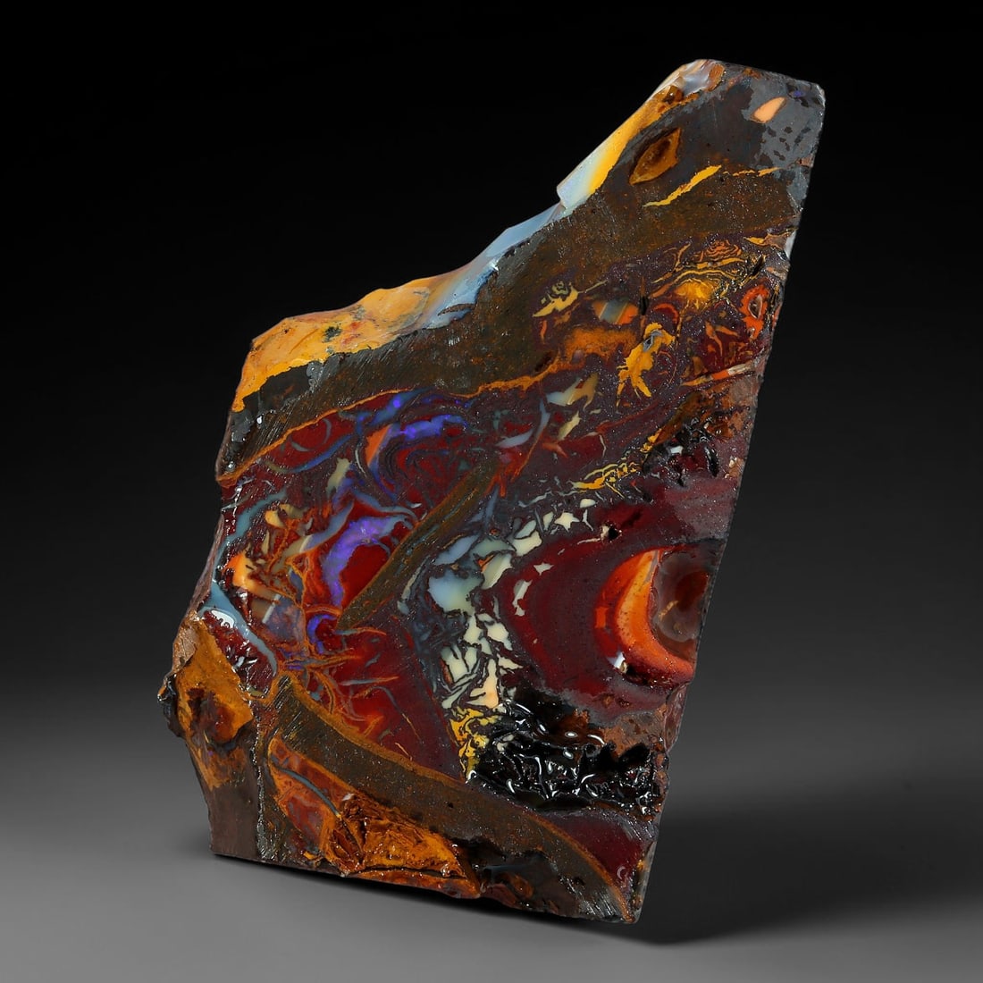 44.05ct Natural Australian Queensland Boulder Opal Sliced Slab Cutting Rough, 86AY: Natural sliced slab rough of Queensland boulder opal cutting grade, featuring rich color ironstone matrix with patterns. The face clearly reveals extensive opal veining and pocket formations running t