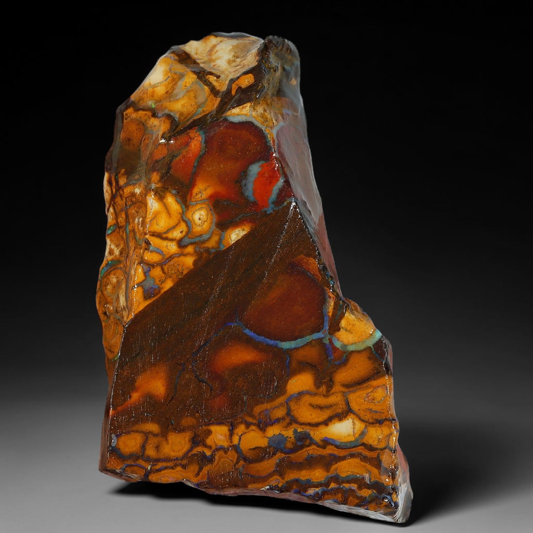 65.90ct Natural Australian Queensland Boulder Opal Sliced Slab Cutting Rough, 86YP: Natural sliced slab rough of Queensland boulder opal cutting grade, featuring rich color ironstone matrix with patterns. The face clearly reveals extensive opal veining and pocket formations running t