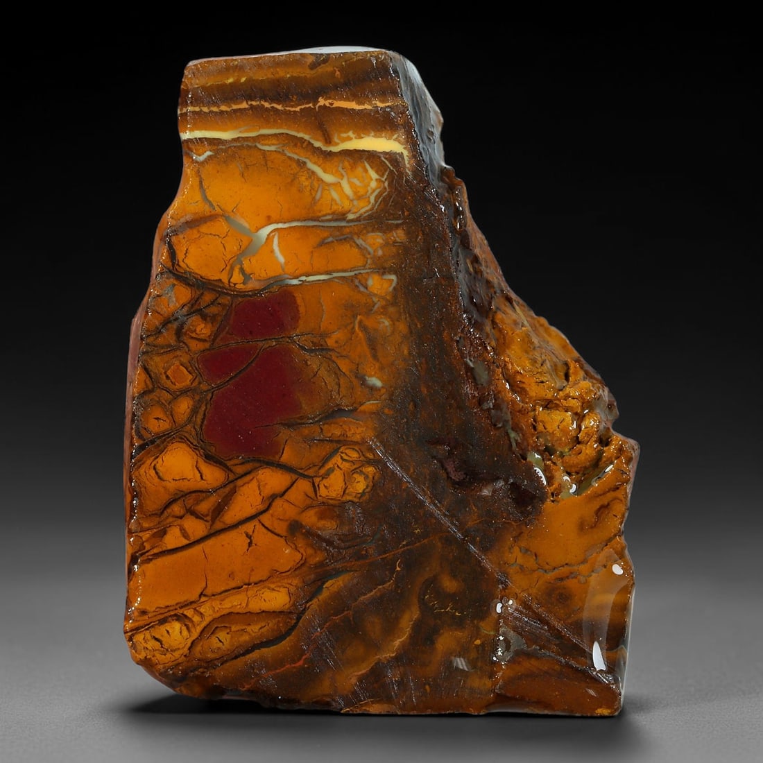 54.08ct Natural Australian Queensland Boulder Opal Sliced Slab Cutting Rough, 80AY: Natural sliced slab rough of Queensland boulder opal cutting grade, featuring rich color ironstone matrix with patterns. The face clearly reveals extensive opal veining and pocket formations running t
