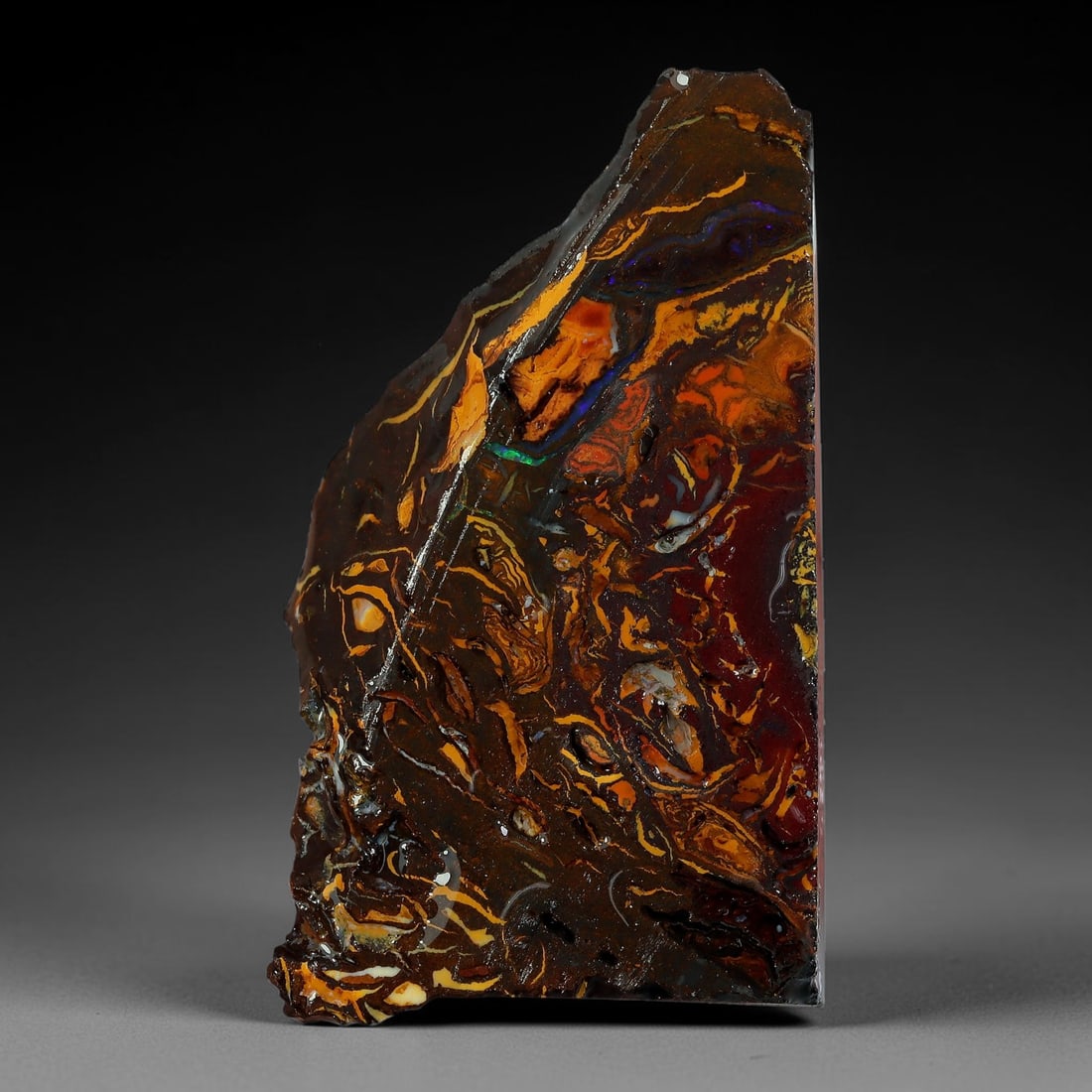 54.20ct Natural Australian Queensland Boulder Opal Sliced Slab Cutting Rough, 90AY: Natural sliced slab rough of Queensland boulder opal cutting grade, featuring rich color ironstone matrix with patterns. The face clearly reveals extensive opal veining and pocket formations running t