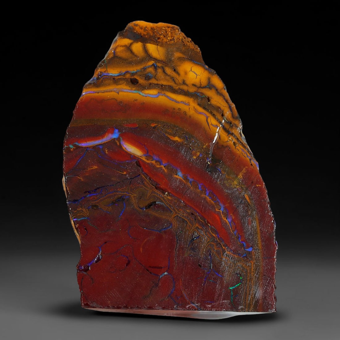 68.34ct Natural Australian Queensland Boulder Opal Sliced Slab Cutting Rough, 90YP: Natural sliced slab rough of Queensland boulder opal cutting grade, featuring rich color ironstone matrix with patterns. The face clearly reveals extensive opal veining and pocket formations running t