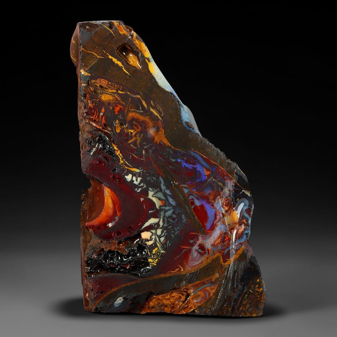 41.11ct Natural Australian Queensland Boulder Opal Sliced Slab Cutting Rough, 91AY: Natural sliced slab rough of Queensland boulder opal cutting grade, featuring rich color ironstone matrix with patterns. The face clearly reveals extensive opal veining and pocket formations running t
