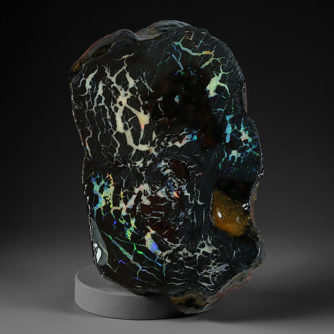 12.57ct Natural Australian Queensland Boulder Opal Sliced Slab Cutting Rough, 99YP: Natural sliced slab rough of Queensland boulder opal cutting grade, featuring rich color ironstone matrix with patterns. The face clearly reveals extensive opal veining and pocket formations running t