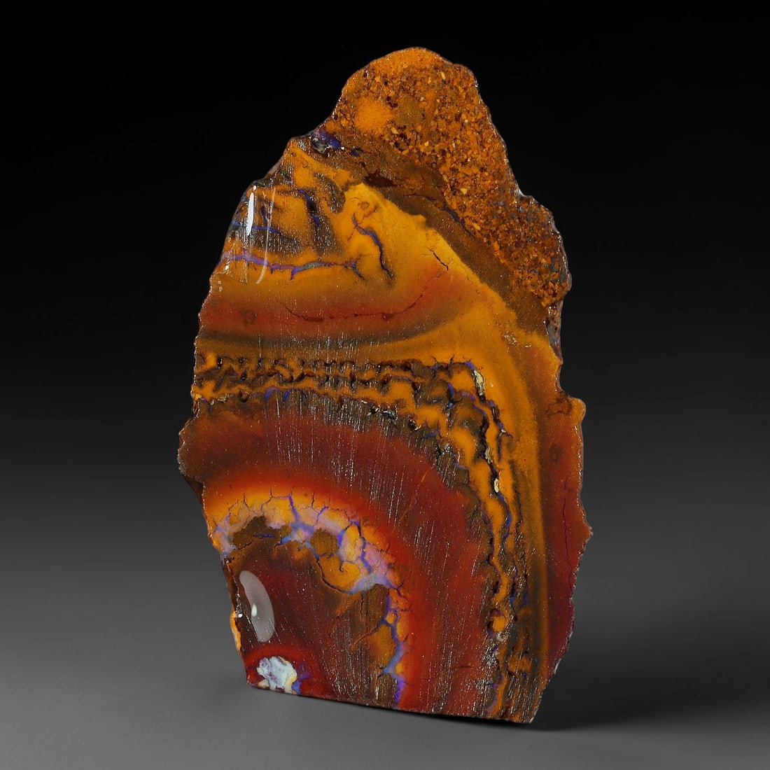 39.15ct Natural Australian Queensland Boulder Opal Sliced Slab Cutting Rough, 92YP: Natural sliced slab rough of Queensland boulder opal cutting grade, featuring rich color ironstone matrix with patterns. The face clearly reveals extensive opal veining and pocket formations running t
