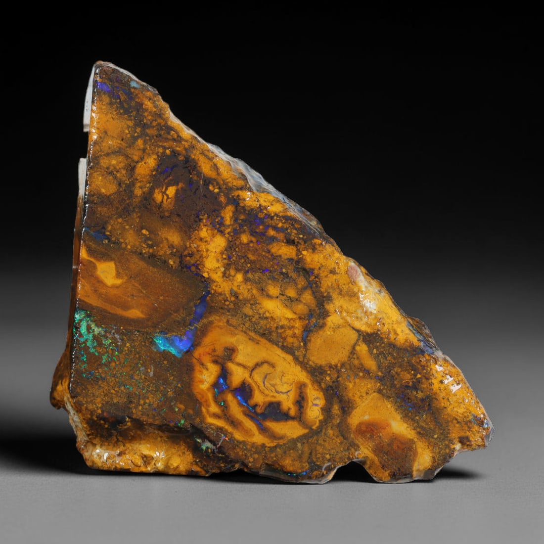 67.60ct Natural Australian Queensland Boulder Opal Sliced Slab Cutting Rough, 42AX: Natural sliced slab rough of Queensland boulder opal cutting grade, featuring rich color ironstone matrix with patterns. The face clearly reveals extensive opal veining and pocket formations running t
