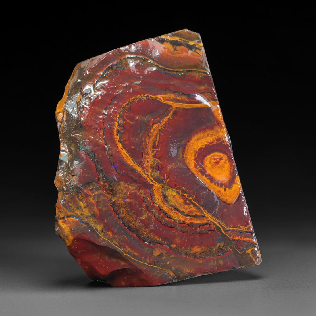 120ct Natural Australian Queensland Boulder Opal Sliced Slab Cutting Rough, 53AX: Natural sliced slab rough of Queensland boulder opal cutting grade, featuring rich color ironstone matrix with patterns. The face clearly reveals extensive opal veining and pocket formations running t