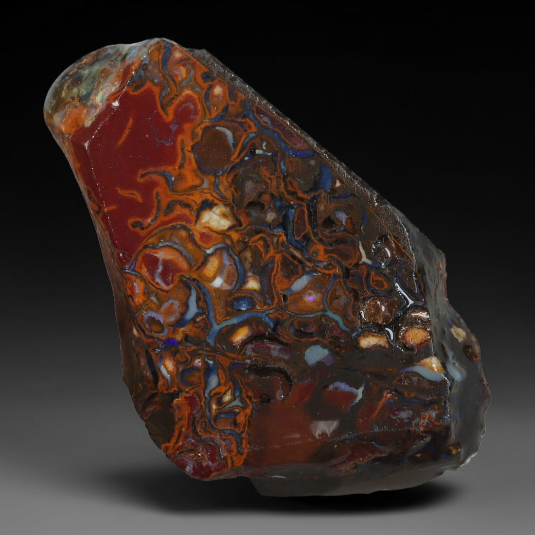 35.76ct Natural Australian Queensland Boulder Opal Sliced Slab Cutting Rough, 68AY: Natural sliced slab rough of Queensland boulder opal cutting grade, featuring rich color ironstone matrix with patterns. The face clearly reveals extensive opal veining and pocket formations running t