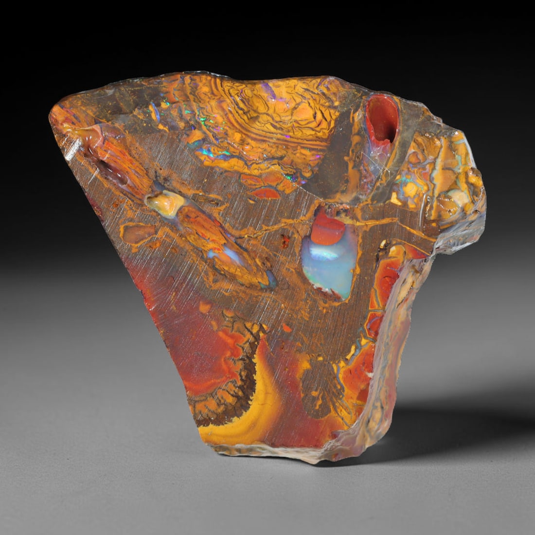 90.11ct Natural Australian Queensland Boulder Opal Sliced Slab Cutting Rough, 35AX: Natural sliced slab rough of Queensland boulder opal cutting grade, featuring rich color ironstone matrix with patterns. The face clearly reveals extensive opal veining and pocket formations running t