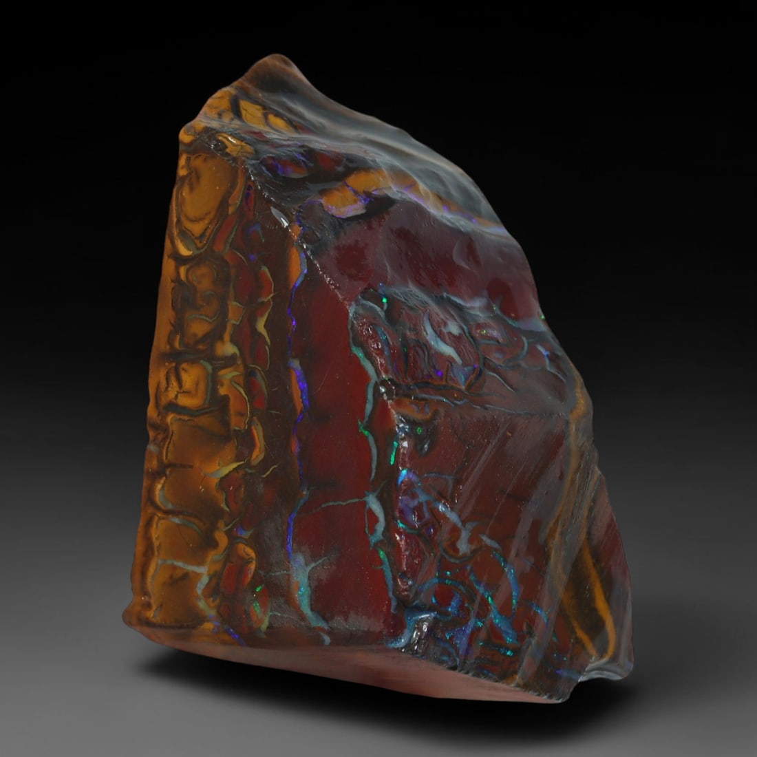 51.86ct Natural Australian Queensland Boulder Opal Sliced Slab Cutting Rough, 18AY: Natural sliced slab rough of Queensland boulder opal cutting grade, featuring rich color ironstone matrix with patterns. The face clearly reveals extensive opal veining and pocket formations running t