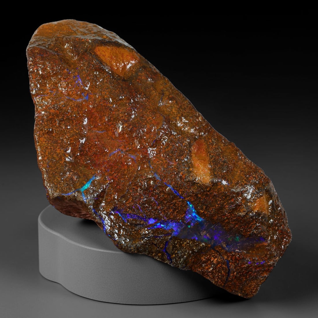 77.45ct Natural Australian Queensland Boulder Opal Sliced Slab Cutting Rough, 94AY: Natural sliced slab rough of Queensland boulder opal cutting grade, featuring rich color ironstone matrix with patterns. The face clearly reveals extensive opal veining and pocket formations running t