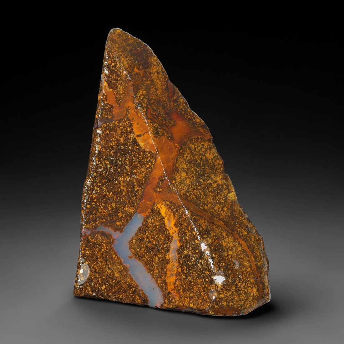 38.70ct Natural Australian Queensland Boulder Opal Sliced Slab Cutting Rough, 53YL: Natural sliced slab rough of Queensland boulder opal cutting grade, featuring rich color ironstone matrix with patterns. The face clearly reveals extensive opal veining and pocket formations running t