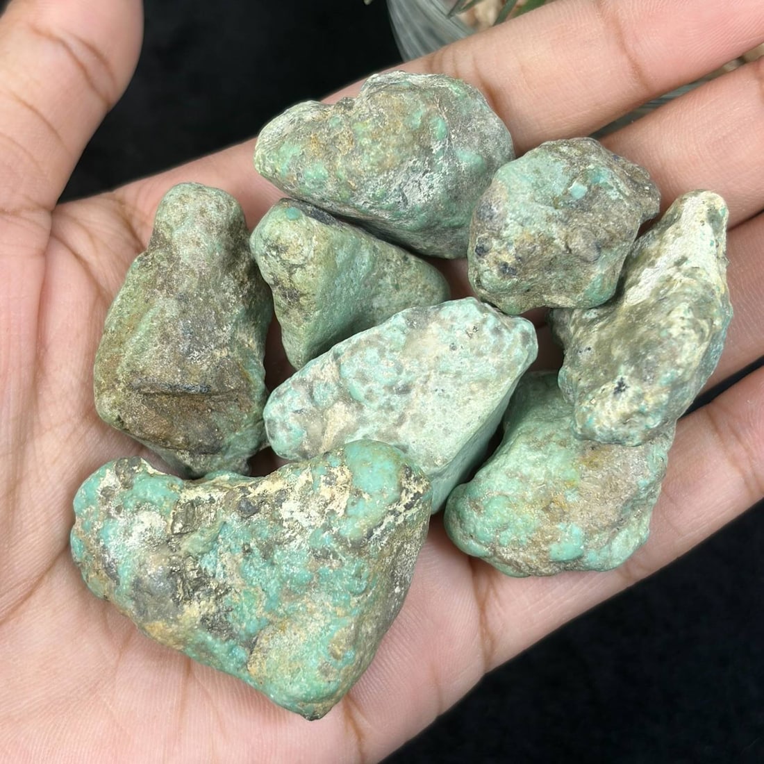 405ct Natural Kingman Turquoise Rough - Arizona USA, 27ZB: This lot consists of unprocessed natural Kingman turquoise rough nuggets mined in Arizona, USA, displaying muted teal and blue-green tones naturally blended with host rock matrix across irregular orga