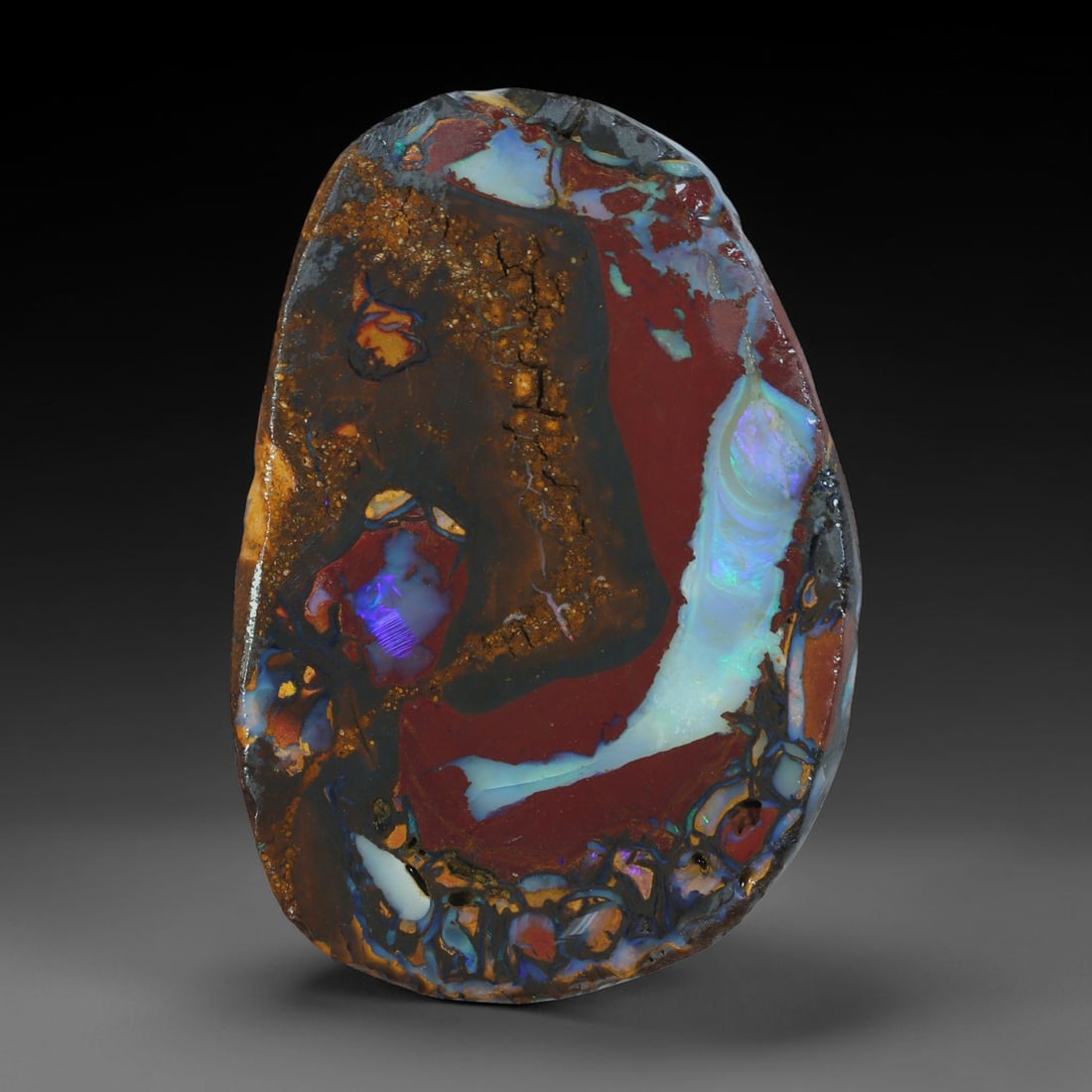 58.13ct Natural Australian Queensland Boulder Opal Sliced Slab Cutting Rough, 98YL: Natural sliced slab rough of Queensland boulder opal cutting grade, featuring rich color ironstone matrix with patterns. The face clearly reveals extensive opal veining and pocket formations running t