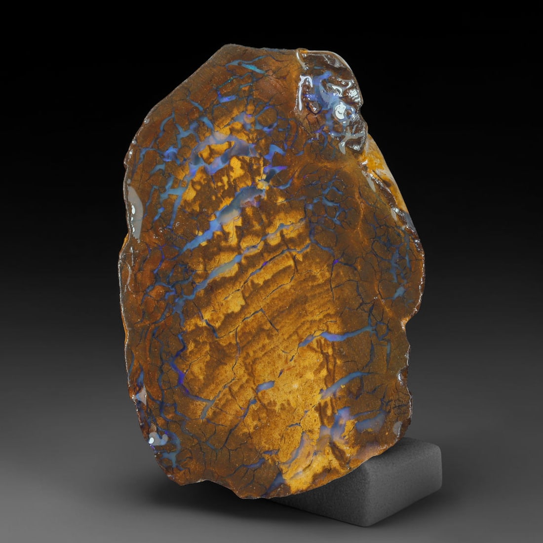 46.06ct Natural Australian Queensland Boulder Opal Sliced Slab Cutting Rough, 62AX: Natural sliced slab rough of Queensland boulder opal cutting grade, featuring rich color ironstone matrix with patterns. The face clearly reveals extensive opal veining and pocket formations running t