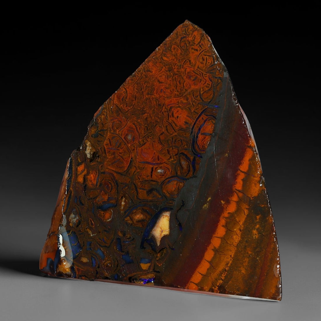 36.62ct Natural Australian Queensland Boulder Opal Sliced Slab Cutting Rough, 87YP: Natural sliced slab rough of Queensland boulder opal cutting grade, featuring rich color ironstone matrix with patterns. The face clearly reveals extensive opal veining and pocket formations running t