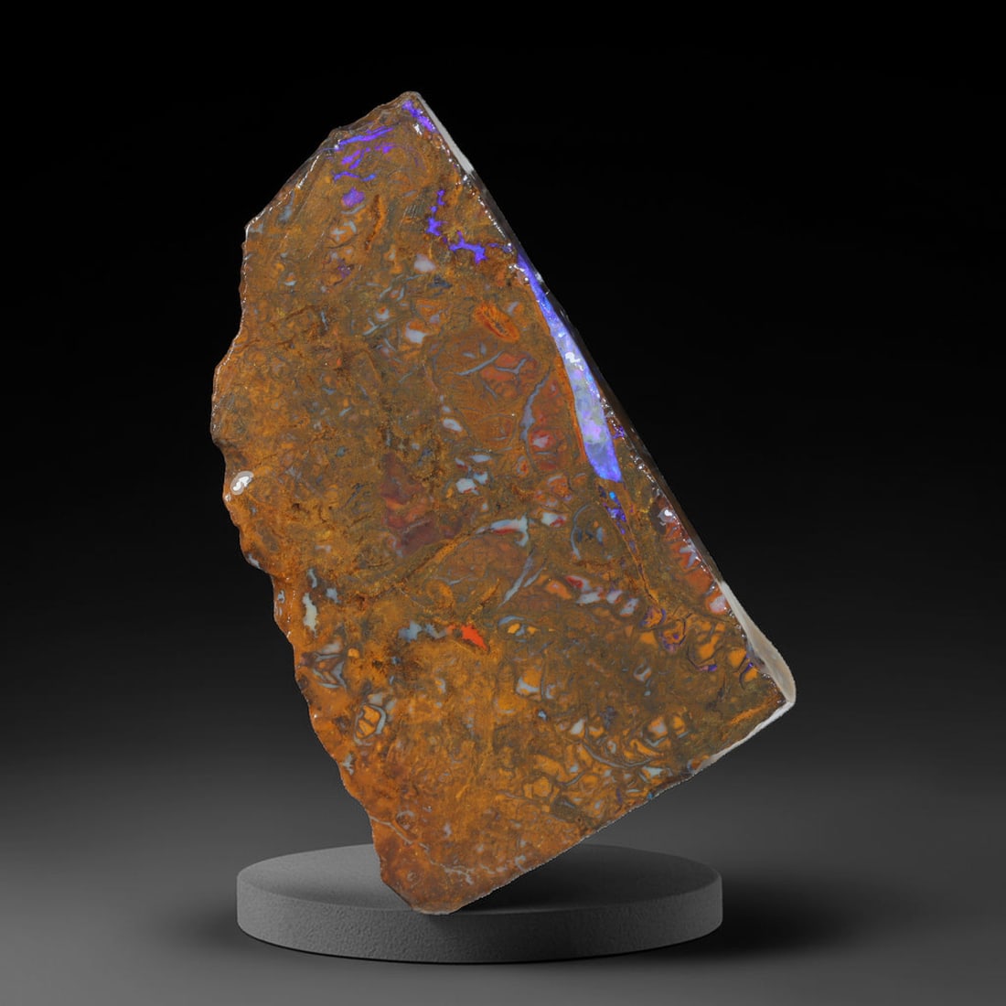 58.40ct Natural Australian Queensland Boulder Opal Sliced Slab Cutting Rough, 37AX: Natural sliced slab rough of Queensland boulder opal cutting grade, featuring rich color ironstone matrix with patterns. The face clearly reveals extensive opal veining and pocket formations running t