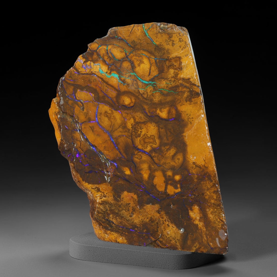 56.22ct Natural Australian Queensland Boulder Opal Sliced Slab Cutting Rough, 65AX: Natural sliced slab rough of Queensland boulder opal cutting grade, featuring rich color ironstone matrix with patterns. The face clearly reveals extensive opal veining and pocket formations running t