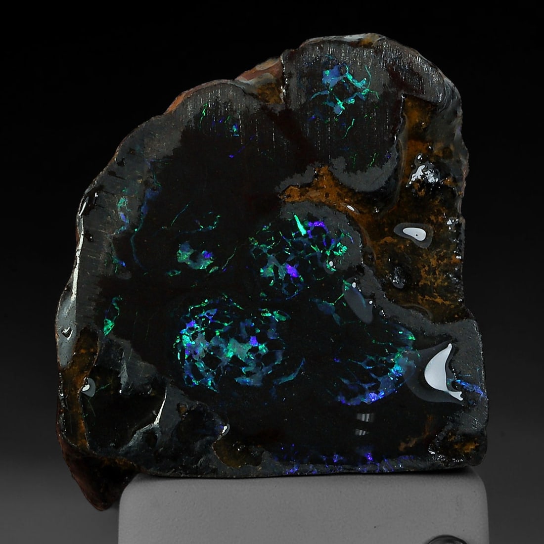 13.60ct Natural Australian Queensland Boulder Opal Sliced Slab Cutting Rough, 81AY: Natural sliced slab rough of Queensland boulder opal cutting grade, featuring rich color ironstone matrix with patterns. The face clearly reveals extensive opal veining and pocket formations running t