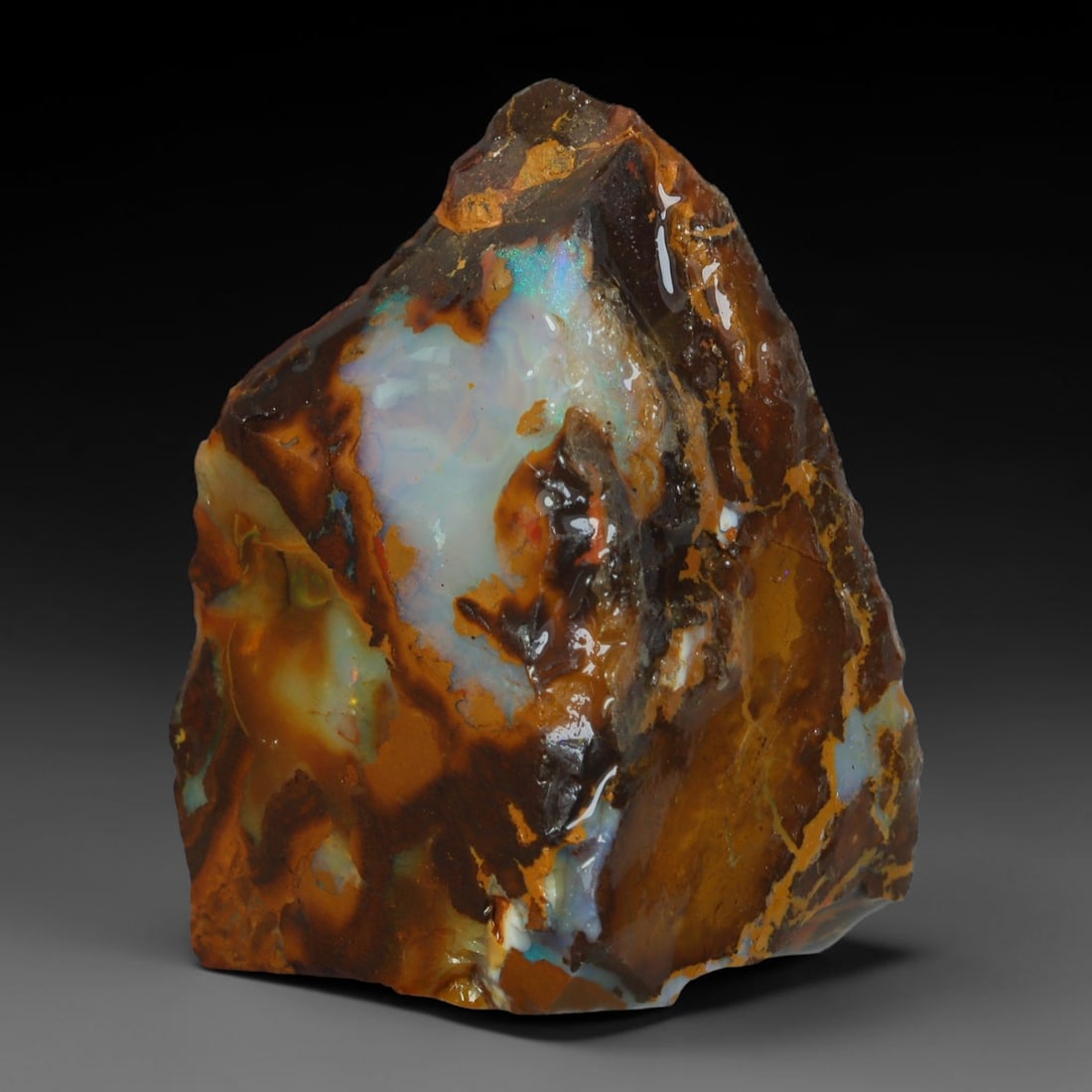 50ct Natural Australian Queensland Boulder Opal Sliced Slab Cutting Rough, 40AY: Natural sliced slab rough of Queensland boulder opal cutting grade, featuring rich color ironstone matrix with patterns. The face clearly reveals extensive opal veining and pocket formations running t
